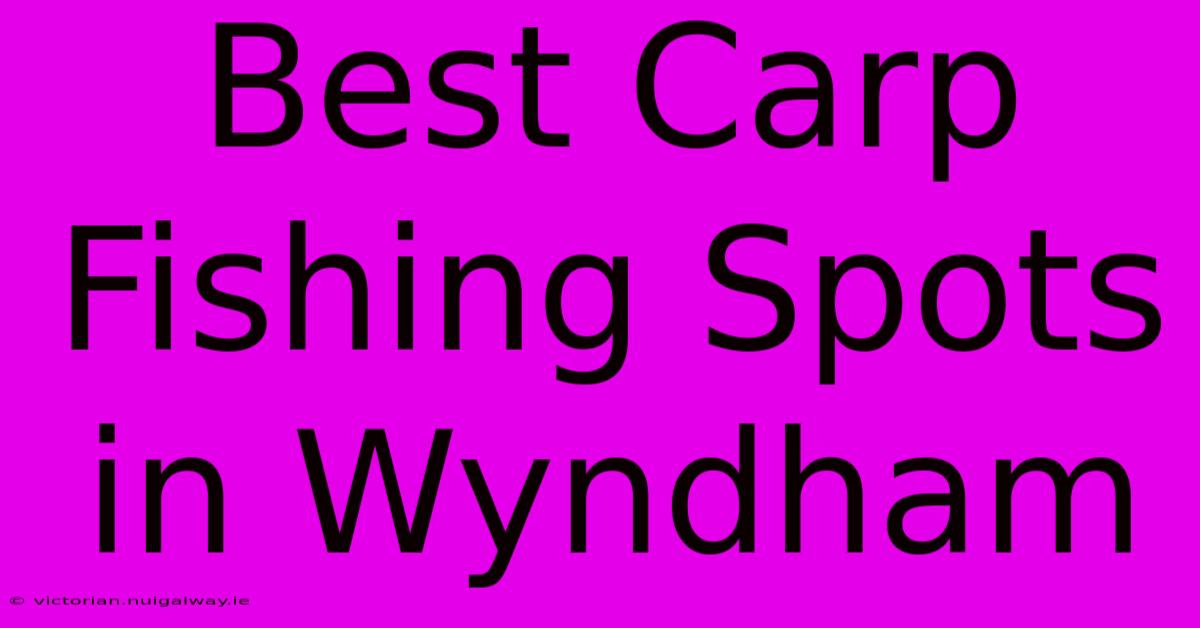 Best Carp Fishing Spots In Wyndham