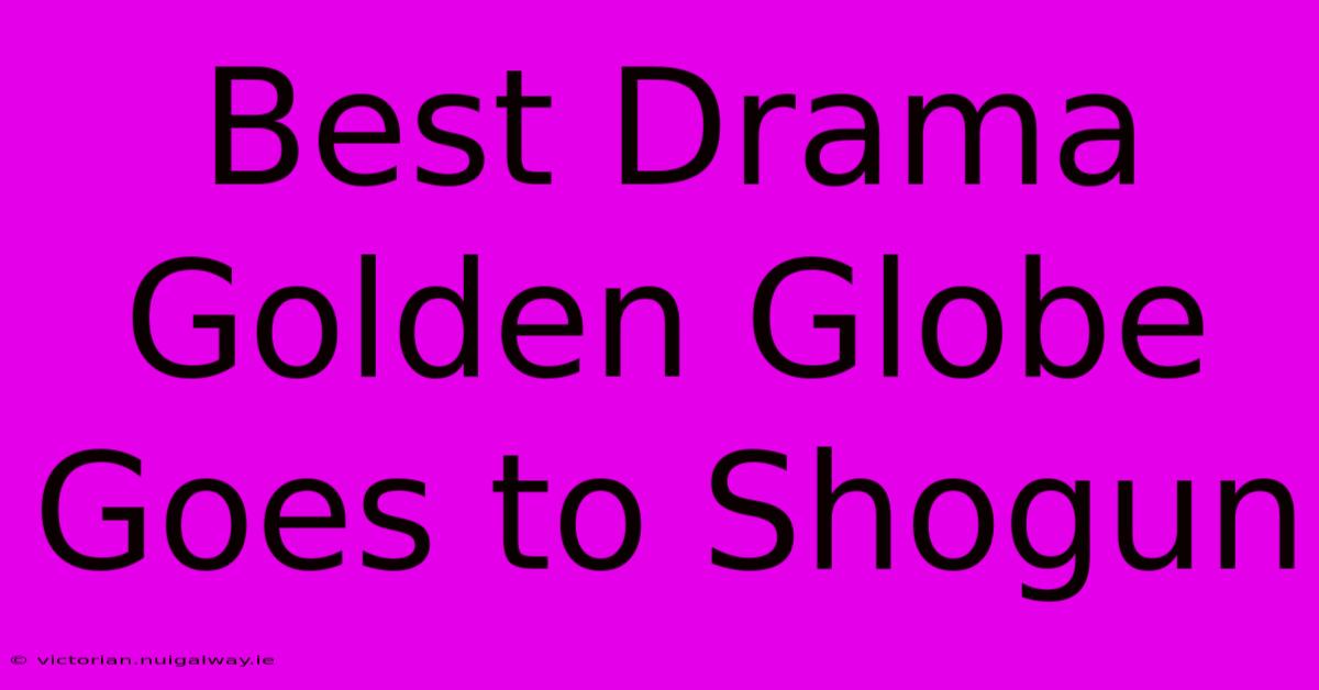 Best Drama Golden Globe Goes To Shogun