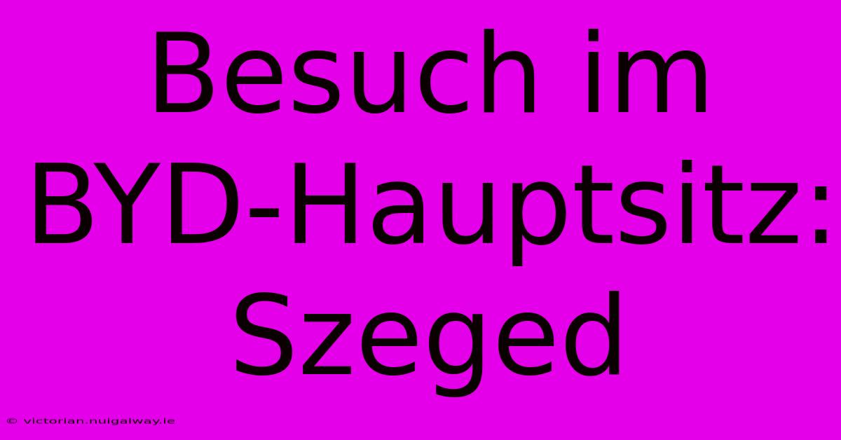 Besuch Im BYD-Hauptsitz: Szeged