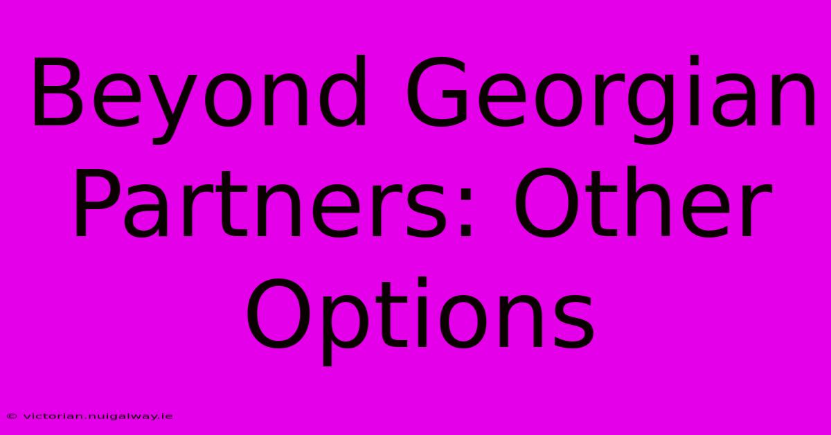 Beyond Georgian Partners: Other Options