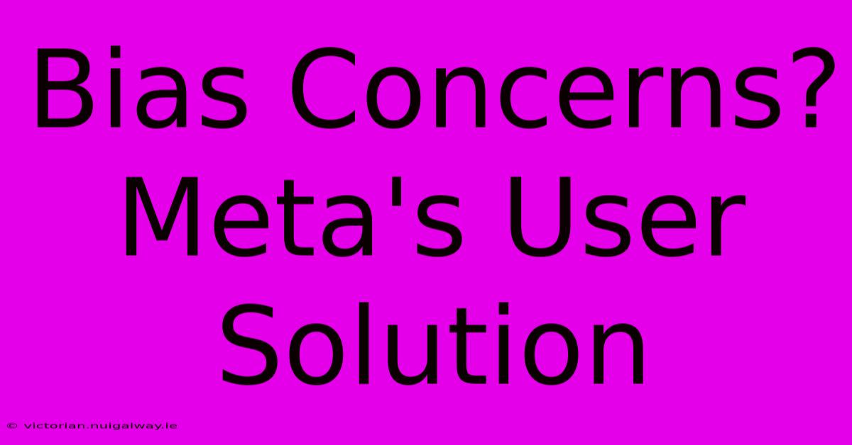 Bias Concerns? Meta's User Solution