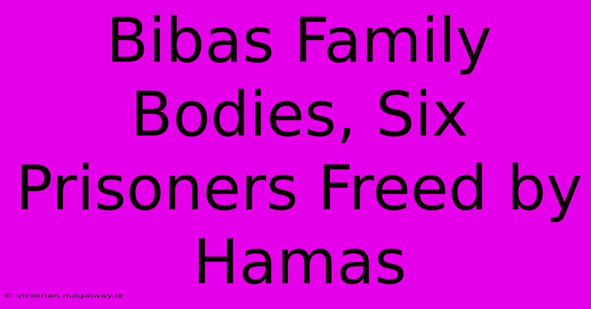 Bibas Family Bodies, Six Prisoners Freed By Hamas