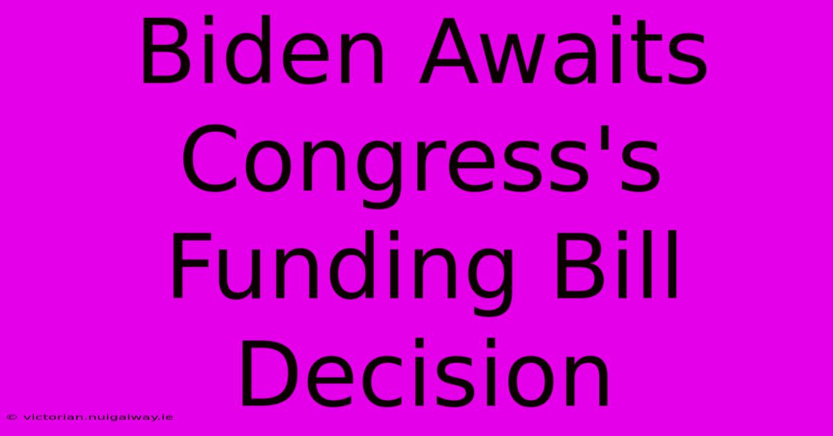 Biden Awaits Congress's Funding Bill Decision