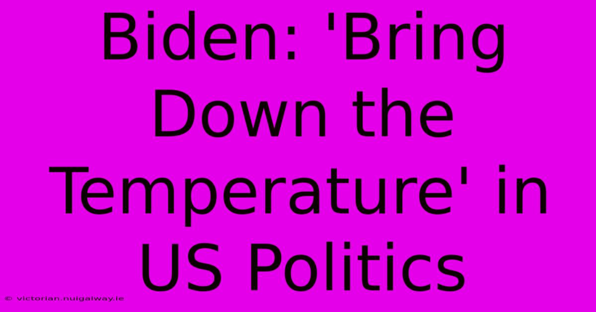 Biden: 'Bring Down The Temperature' In US Politics