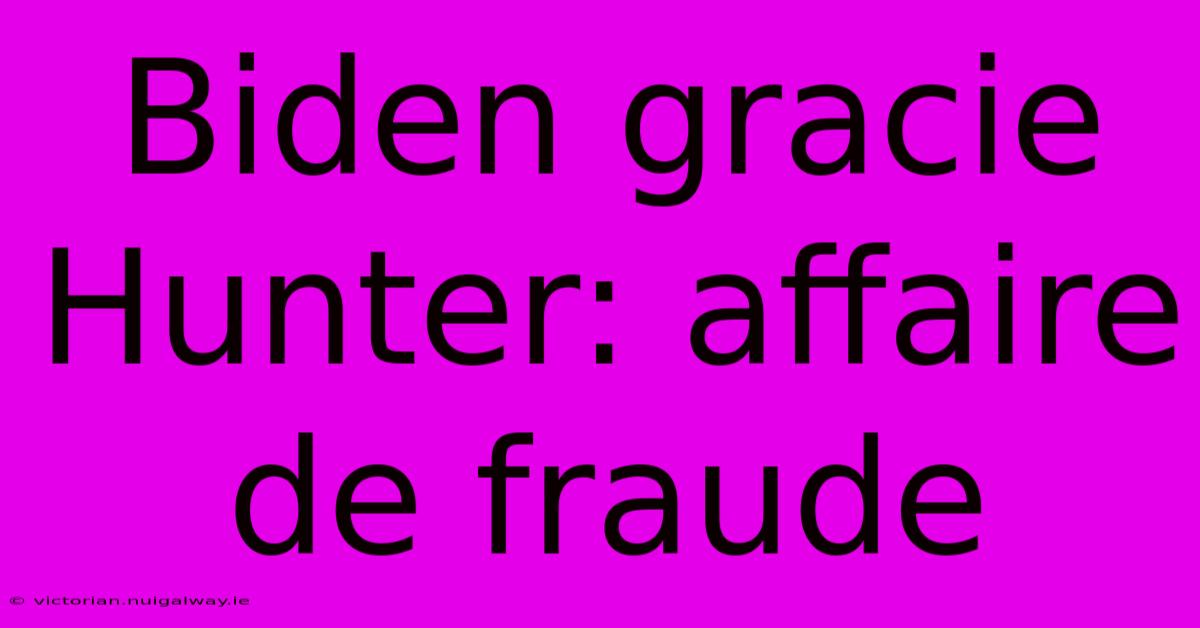 Biden Gracie Hunter: Affaire De Fraude