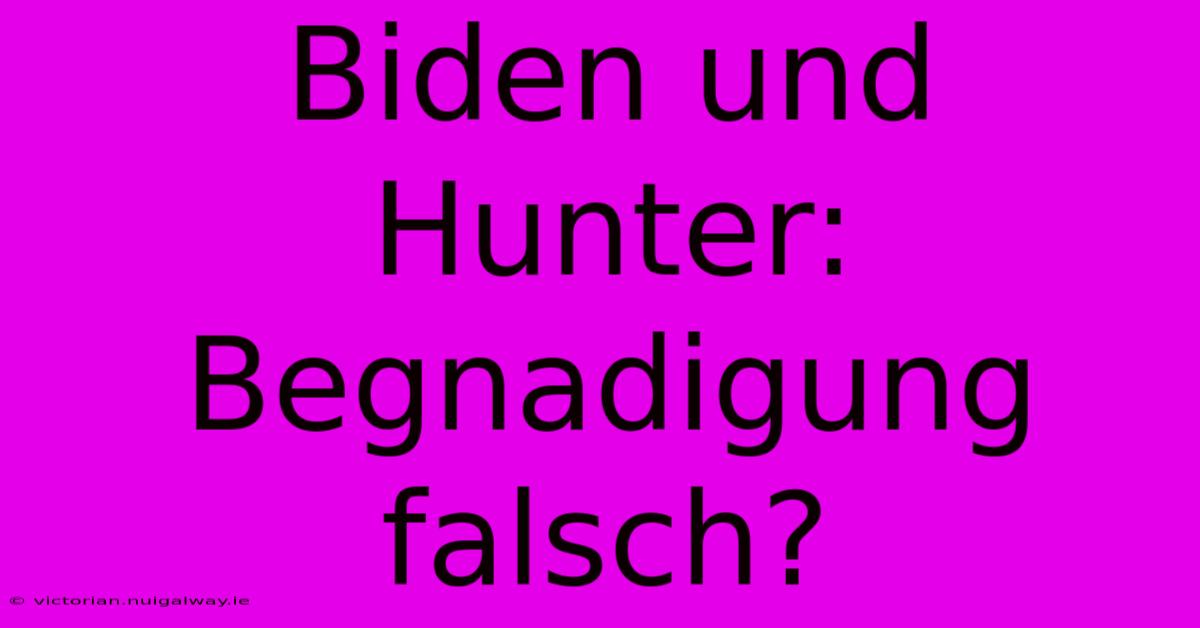 Biden Und Hunter:  Begnadigung Falsch?