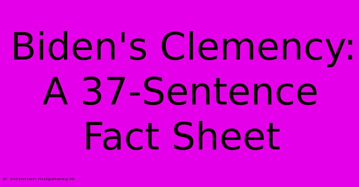 Biden's Clemency: A 37-Sentence Fact Sheet