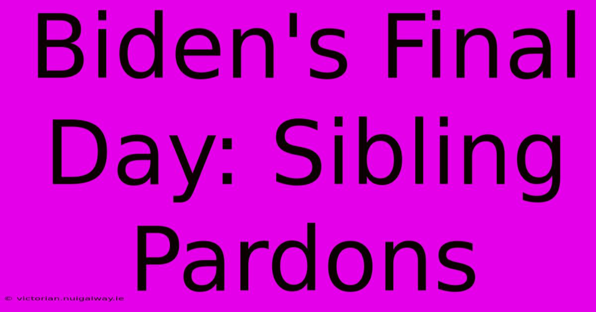 Biden's Final Day: Sibling Pardons