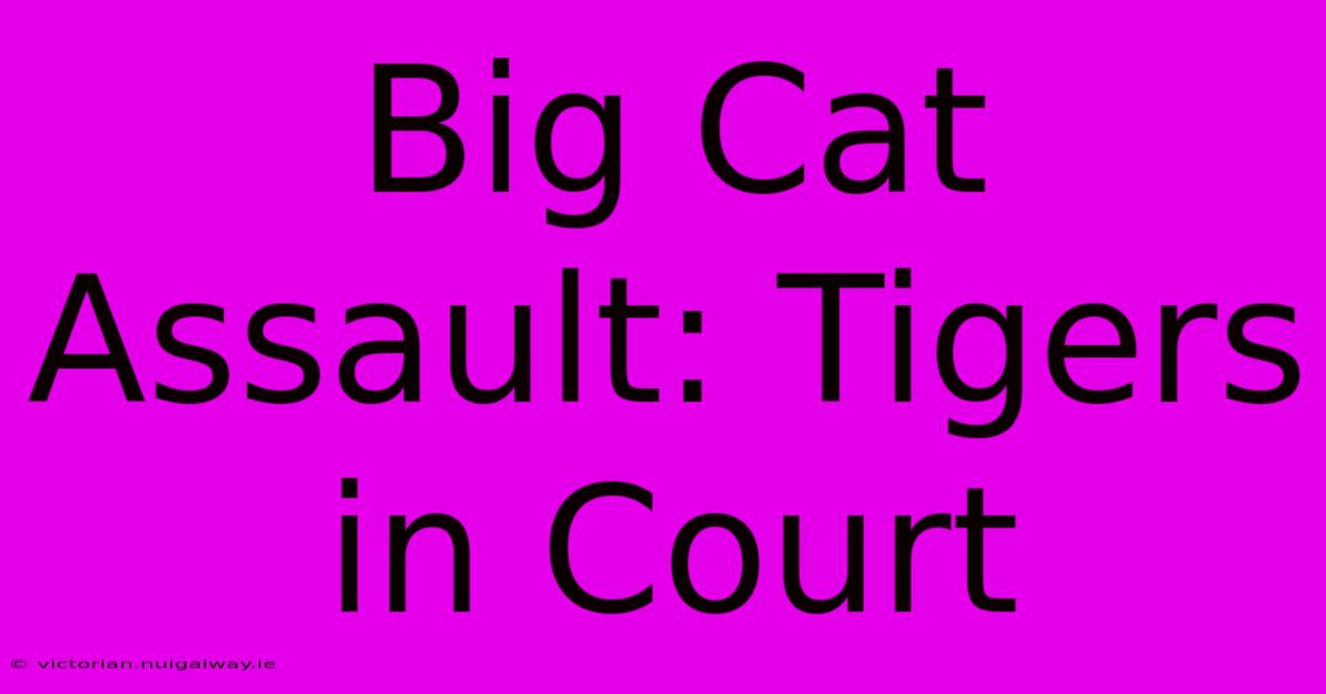 Big Cat Assault: Tigers In Court