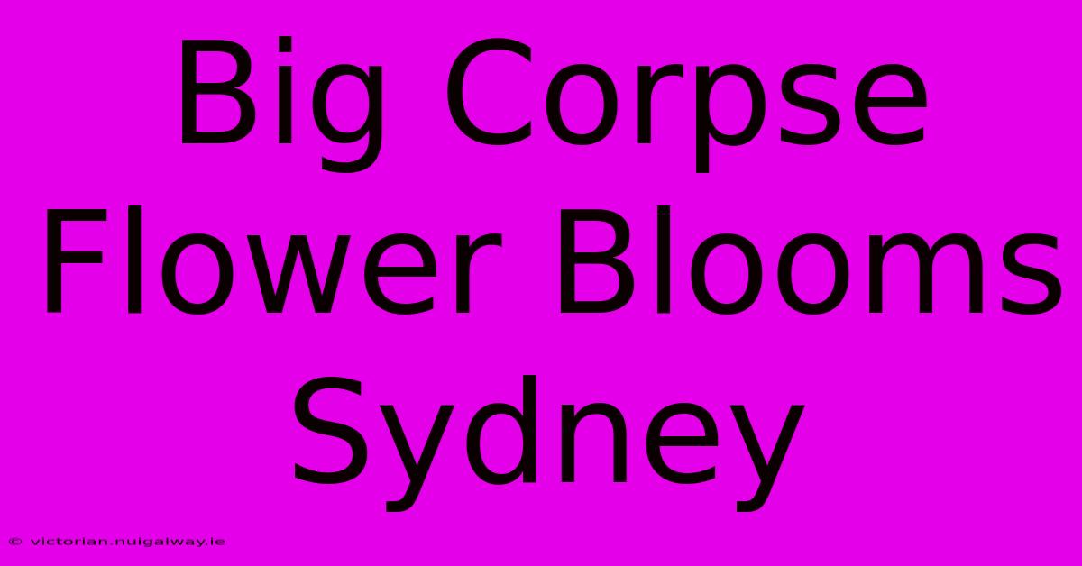 Big Corpse Flower Blooms Sydney