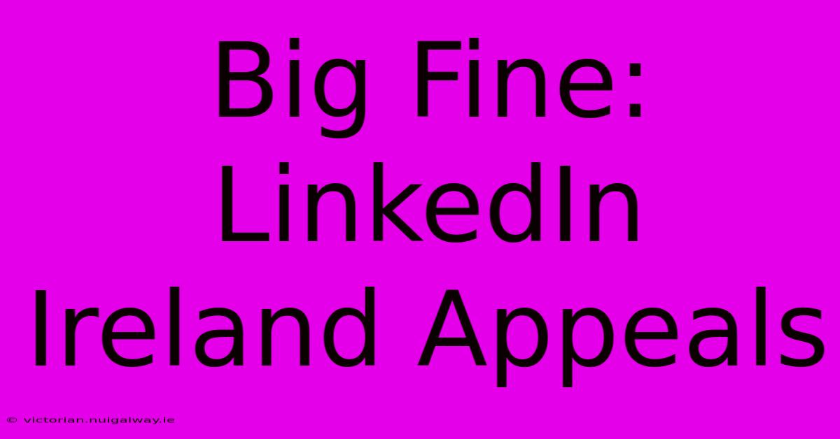 Big Fine: LinkedIn Ireland Appeals