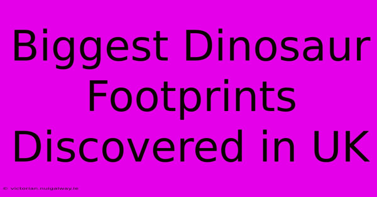 Biggest Dinosaur Footprints Discovered In UK