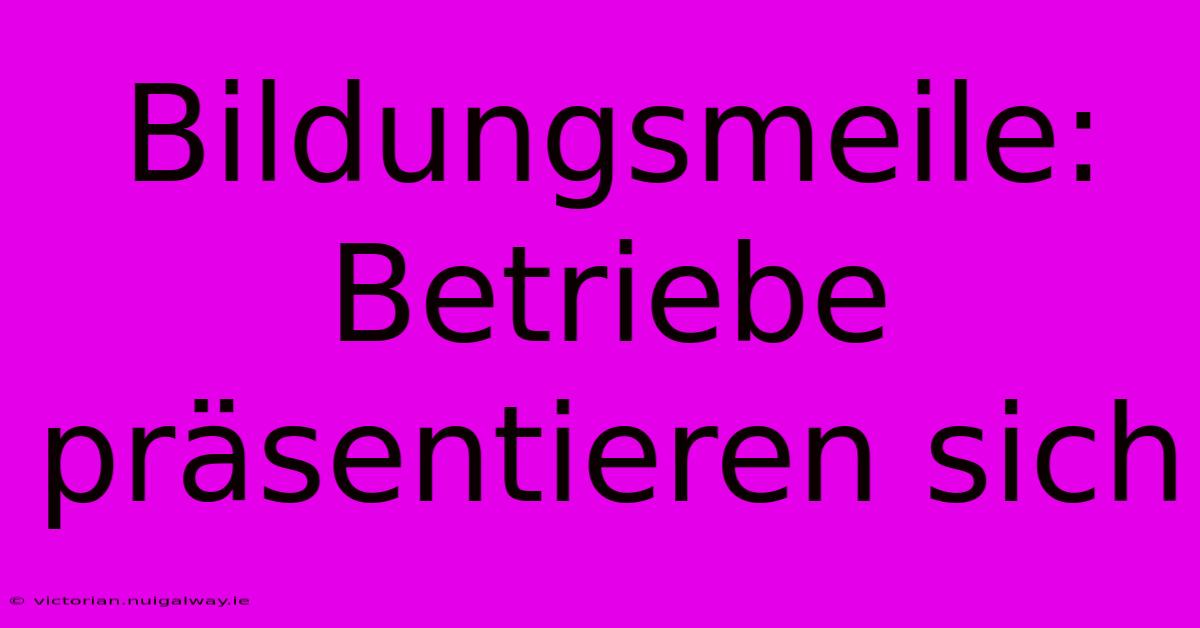 Bildungsmeile: Betriebe Präsentieren Sich