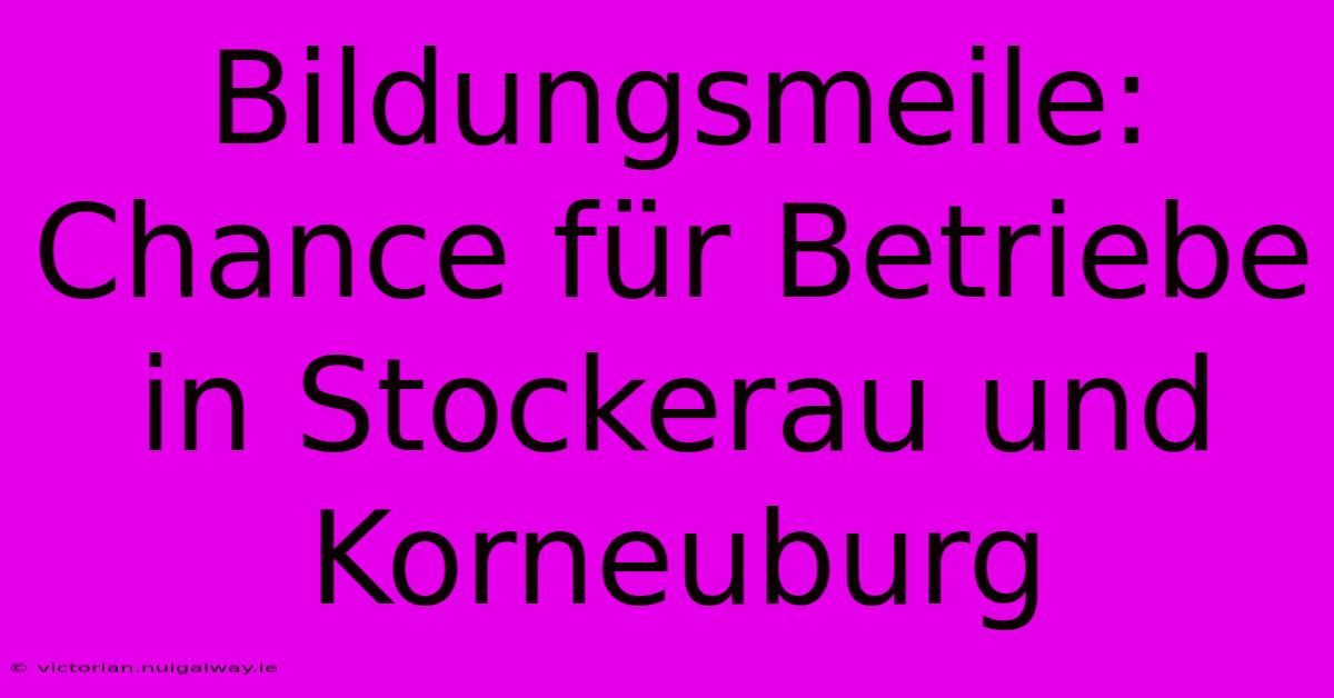 Bildungsmeile:  Chance Für Betriebe In Stockerau Und Korneuburg 