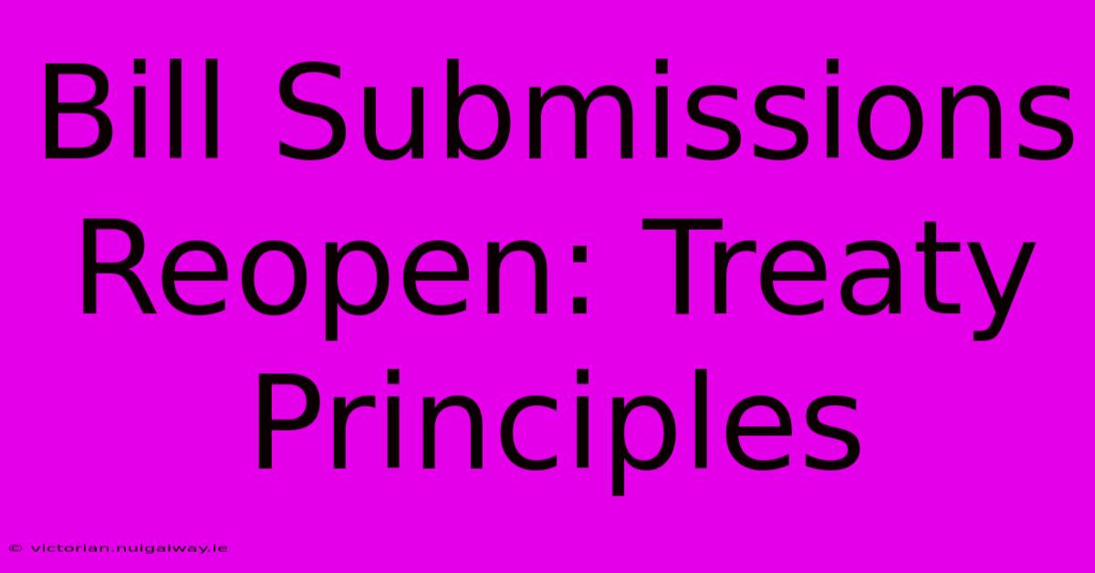 Bill Submissions Reopen: Treaty Principles