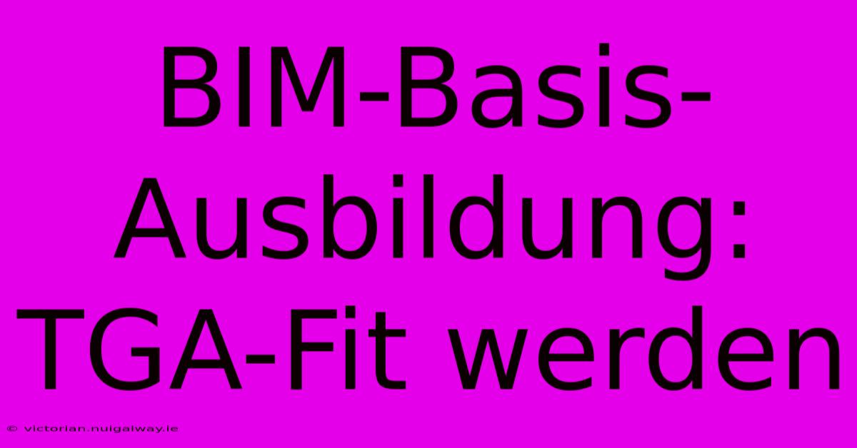 BIM-Basis-Ausbildung: TGA-Fit Werden