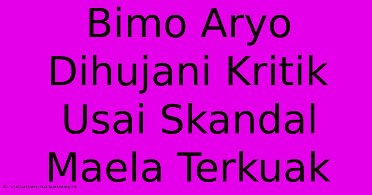 Bimo Aryo Dihujani Kritik Usai Skandal Maela Terkuak 