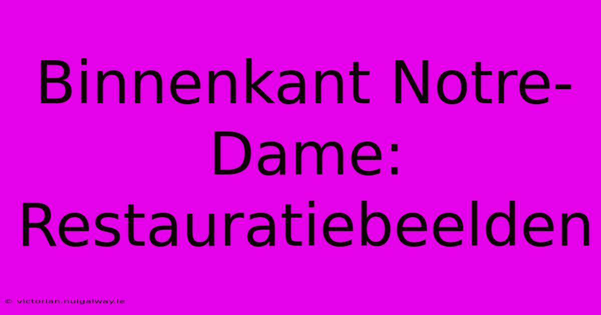 Binnenkant Notre-Dame: Restauratiebeelden