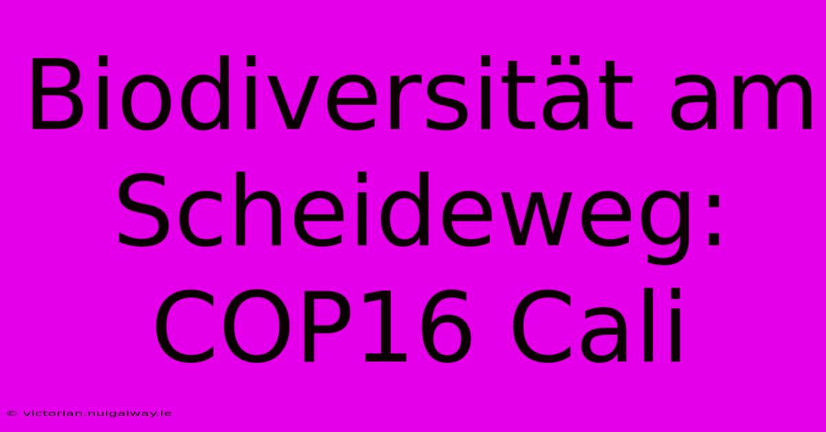 Biodiversität Am Scheideweg: COP16 Cali