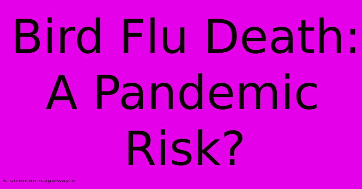 Bird Flu Death: A Pandemic Risk?