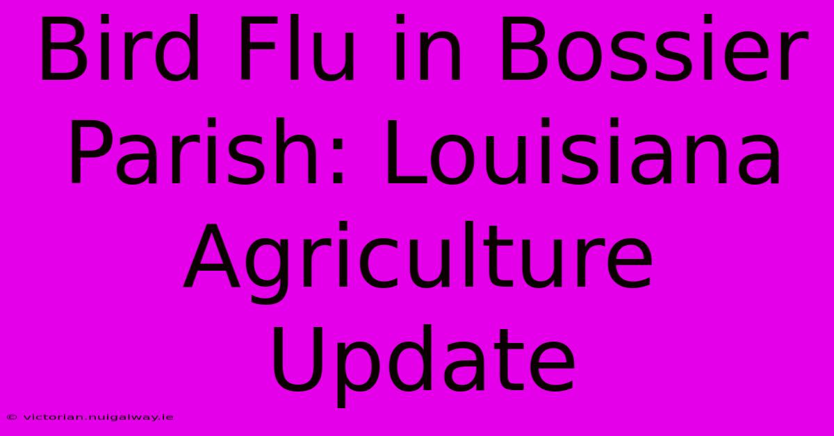 Bird Flu In Bossier Parish: Louisiana Agriculture Update