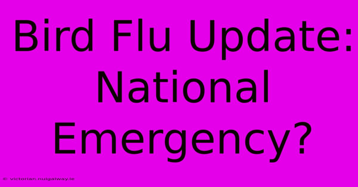 Bird Flu Update: National Emergency?