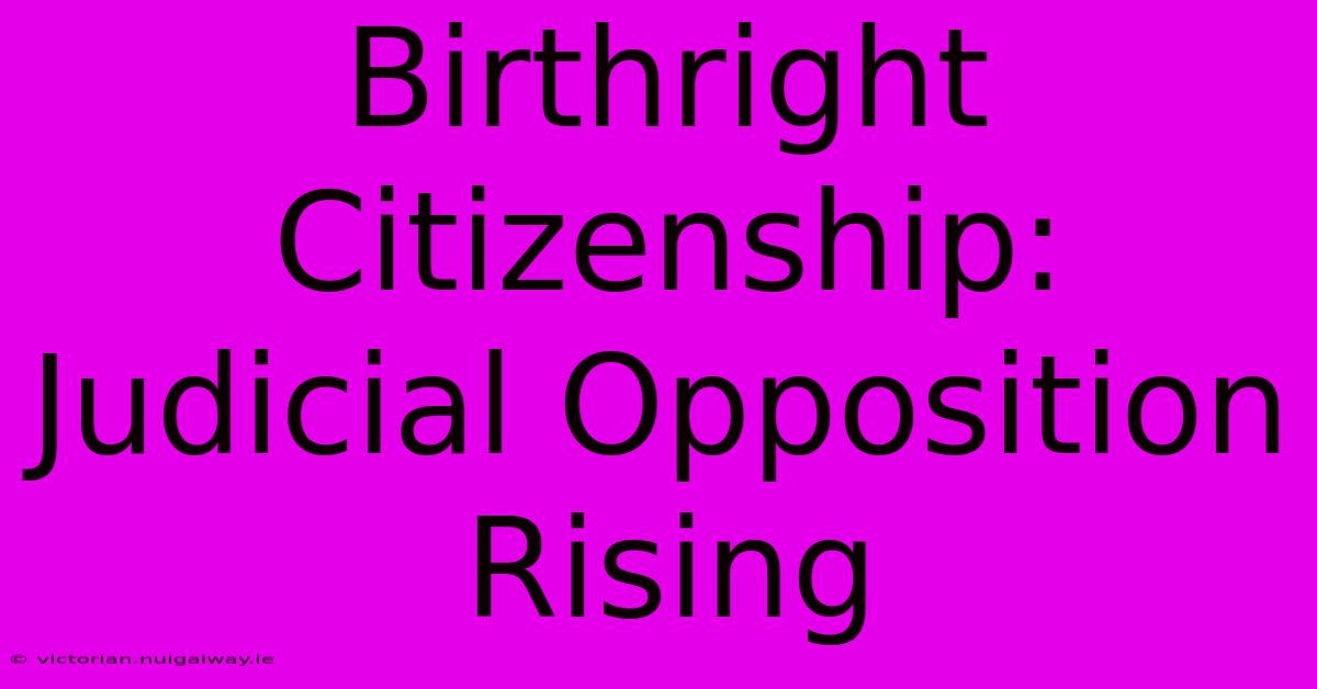 Birthright Citizenship: Judicial Opposition Rising