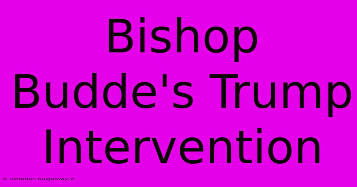 Bishop Budde's Trump Intervention