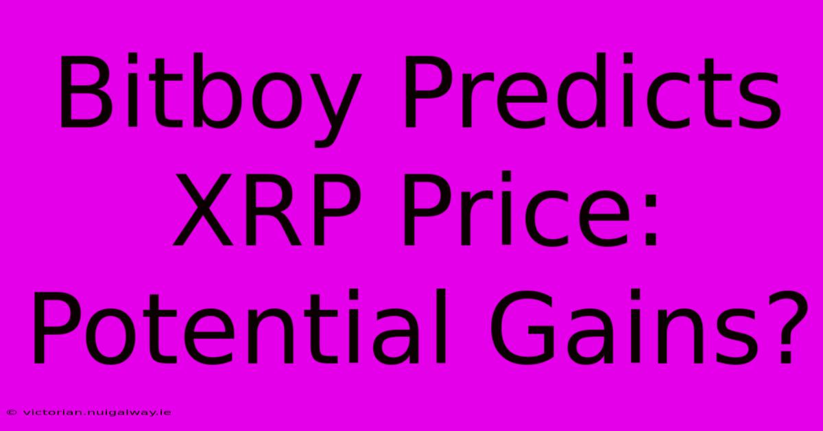 Bitboy Predicts XRP Price: Potential Gains? 