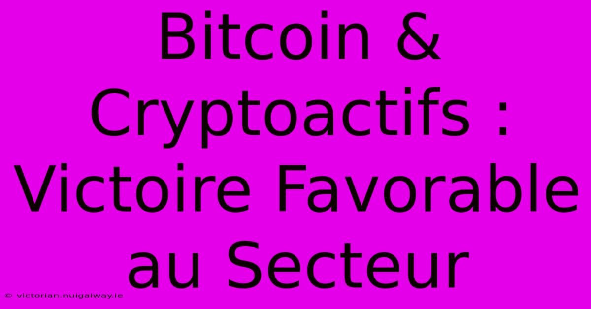 Bitcoin & Cryptoactifs : Victoire Favorable Au Secteur 