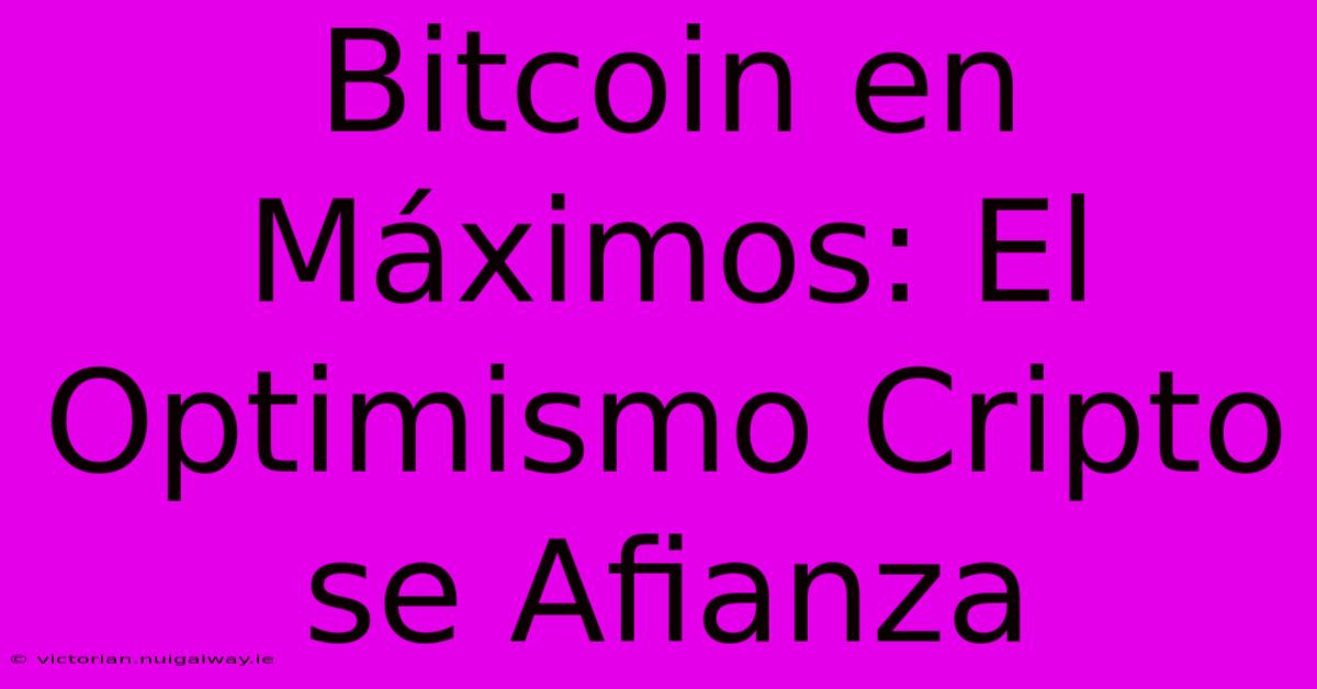 Bitcoin En Máximos: El Optimismo Cripto Se Afianza 