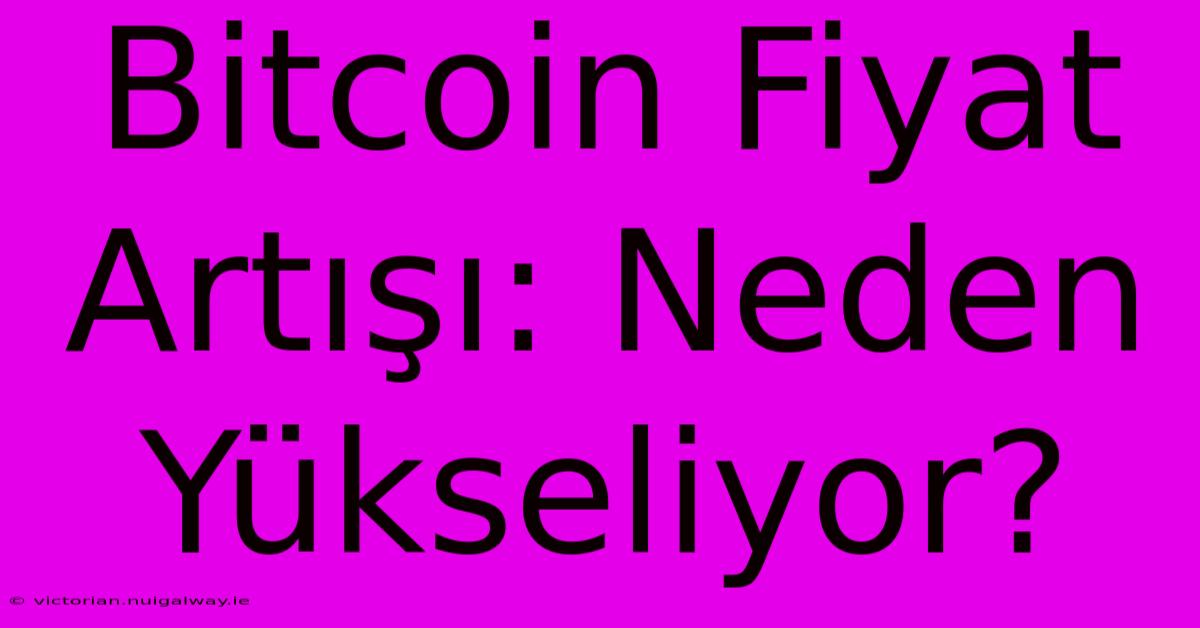 Bitcoin Fiyat Artışı: Neden Yükseliyor?