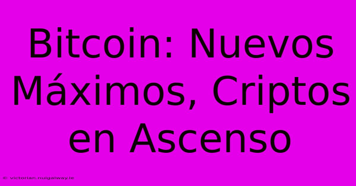 Bitcoin: Nuevos Máximos, Criptos En Ascenso