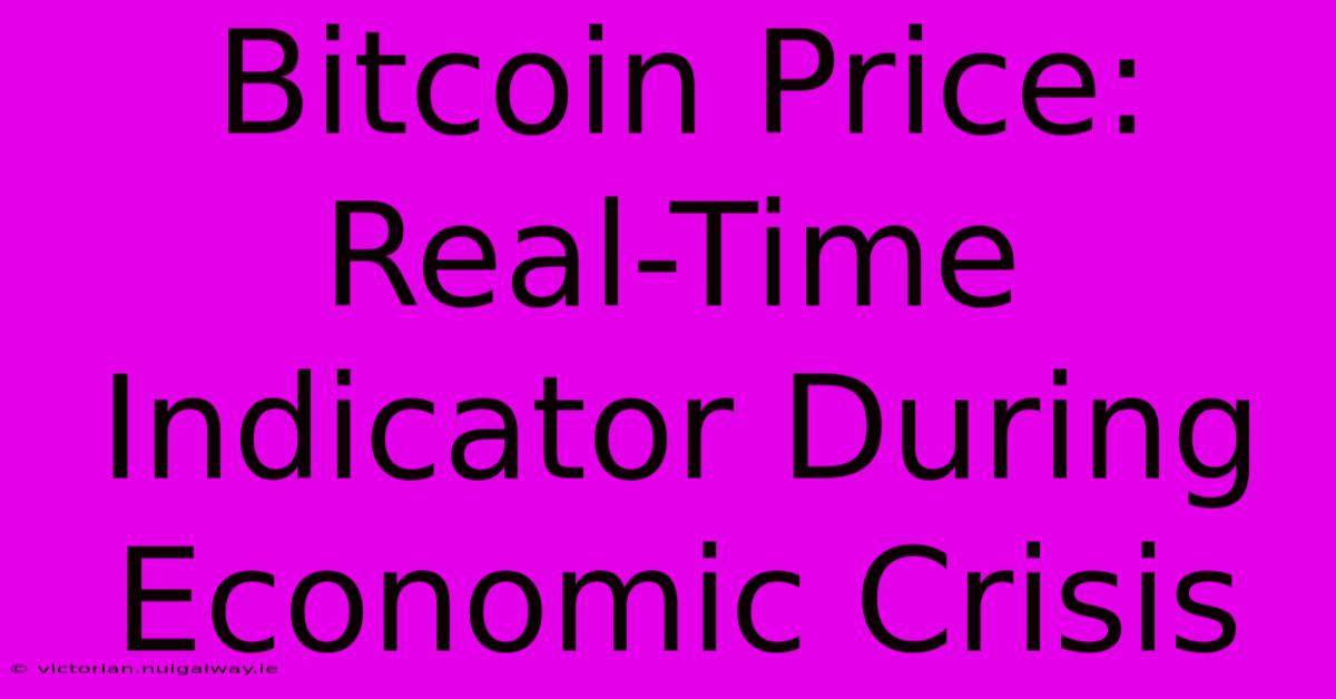 Bitcoin Price: Real-Time Indicator During Economic Crisis