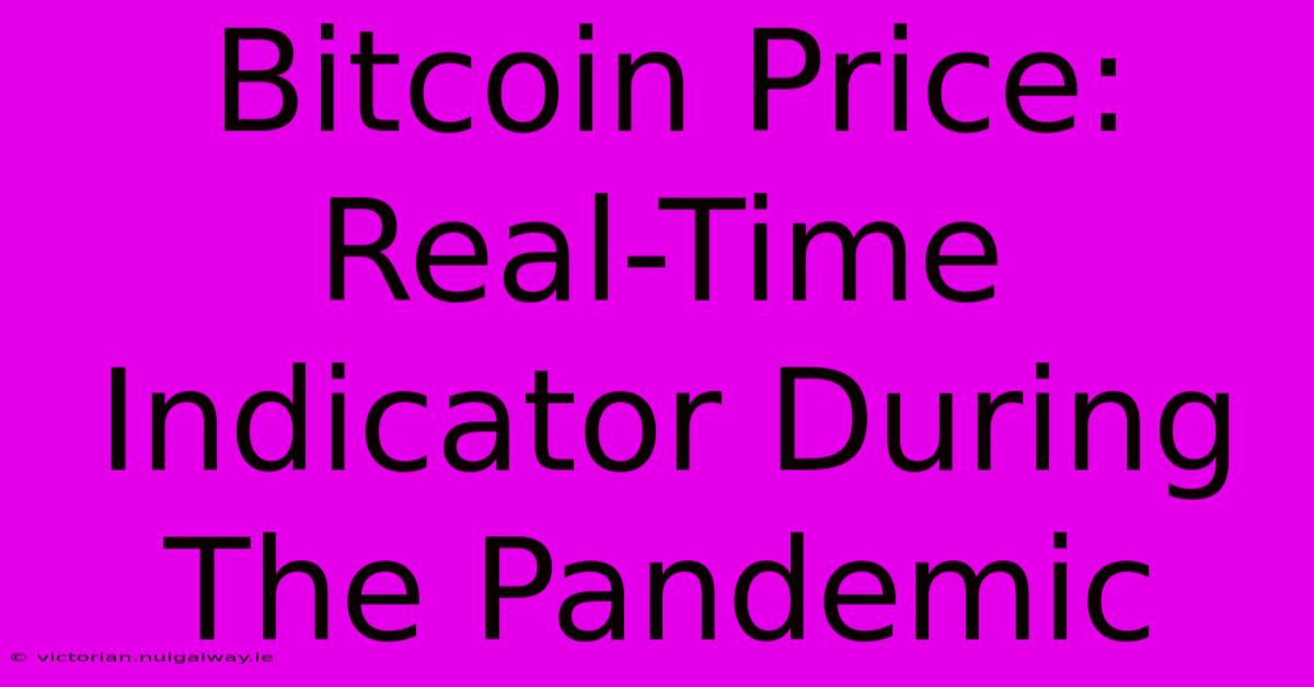 Bitcoin Price: Real-Time Indicator During The Pandemic 