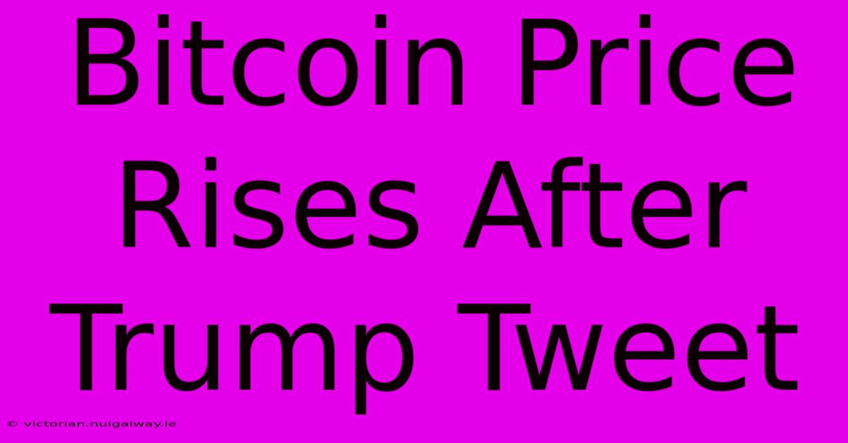 Bitcoin Price Rises After Trump Tweet