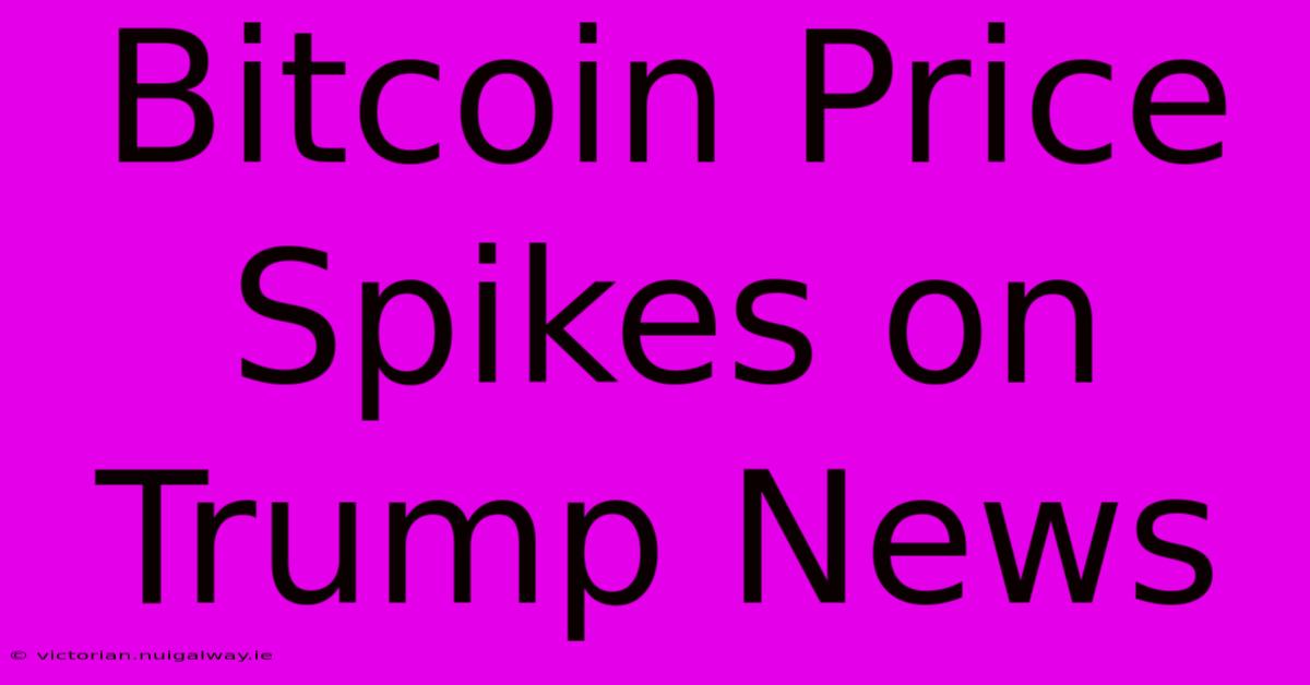 Bitcoin Price Spikes On Trump News 