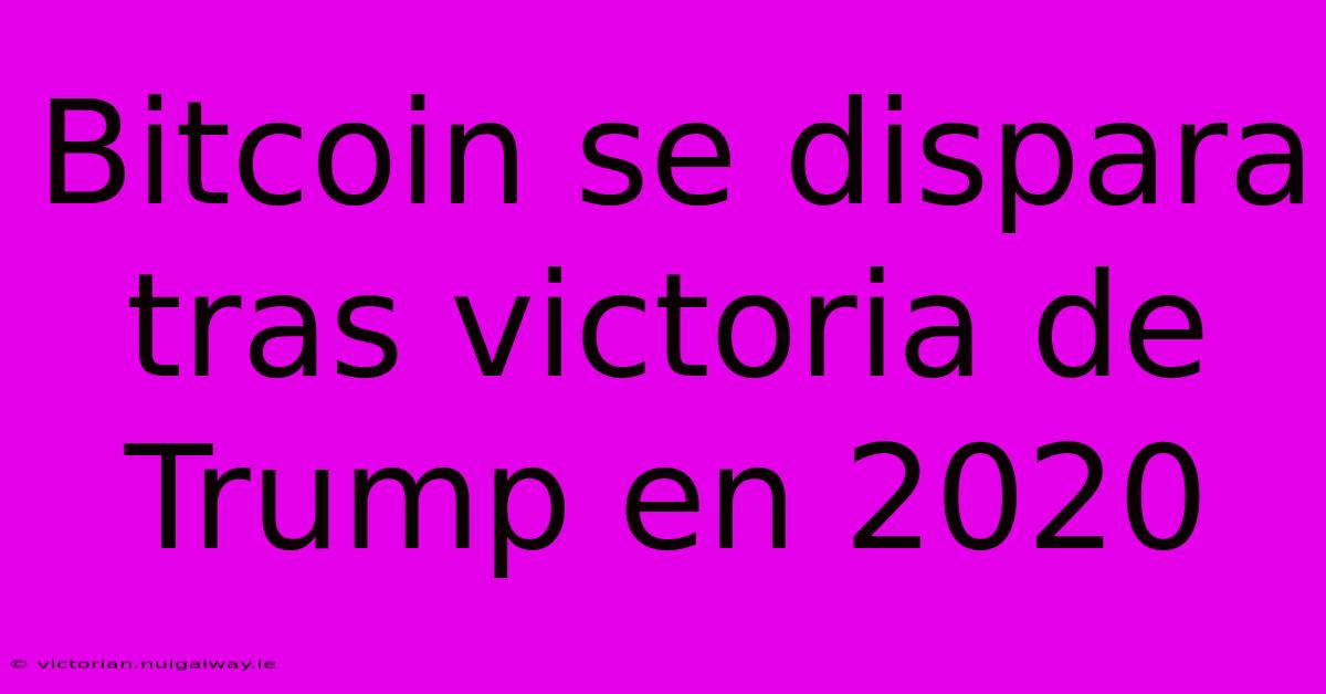 Bitcoin Se Dispara Tras Victoria De Trump En 2020 