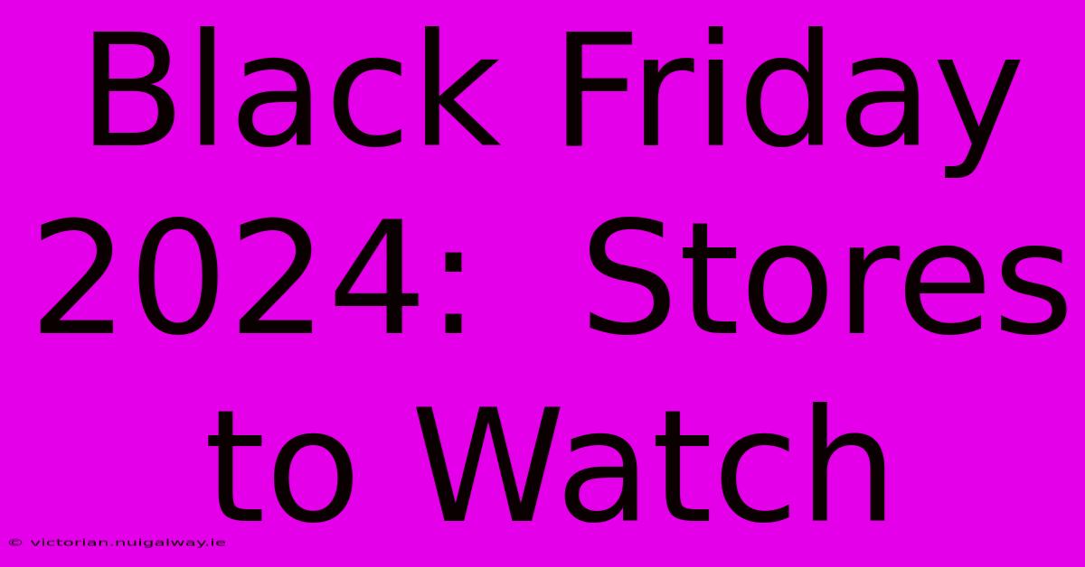 Black Friday 2024:  Stores To Watch 