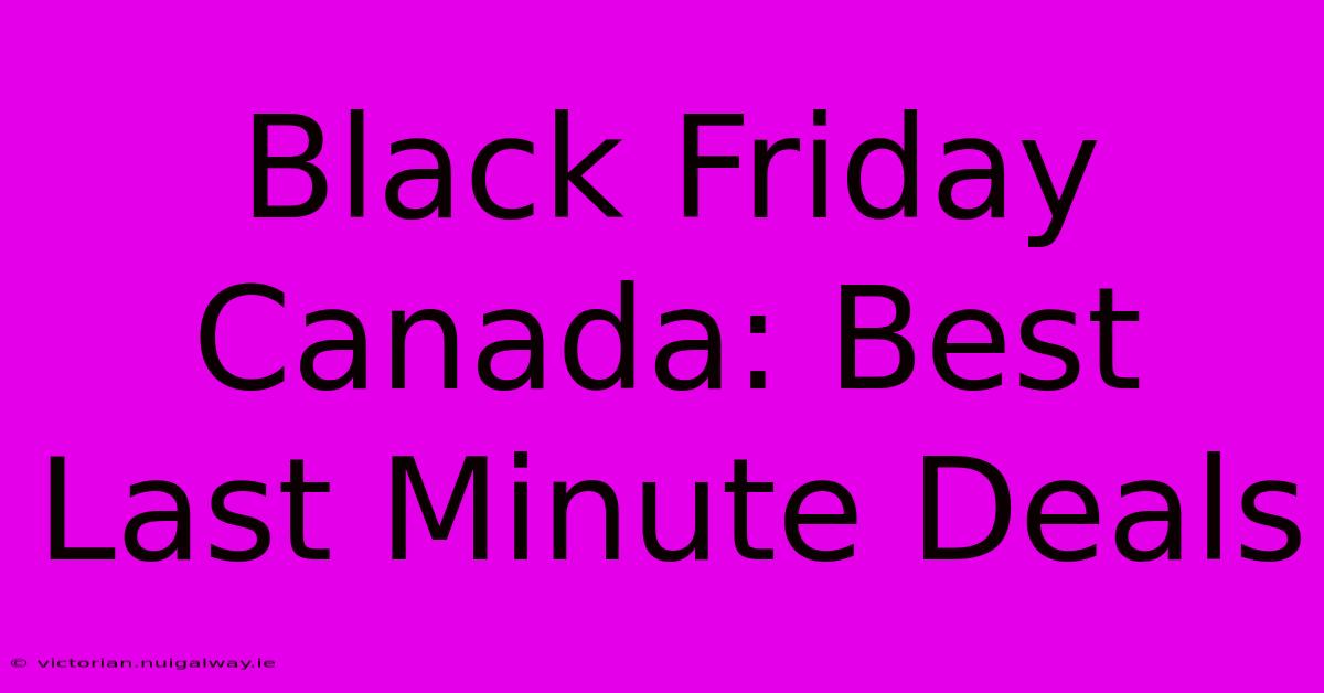 Black Friday Canada: Best Last Minute Deals