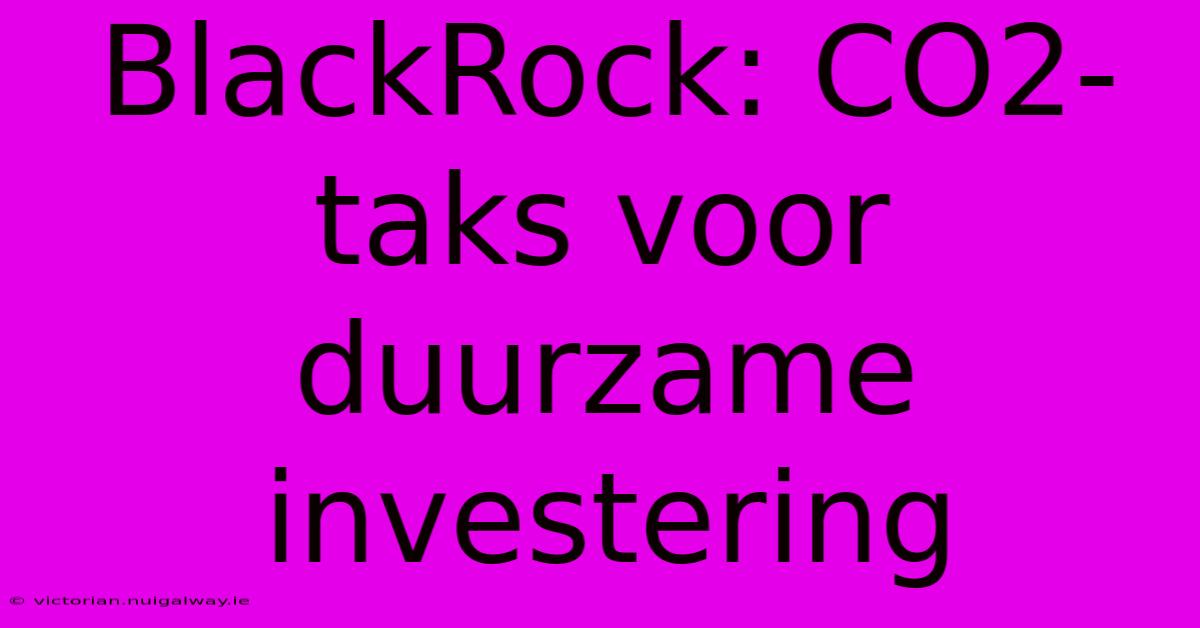 BlackRock: CO2-taks Voor Duurzame Investering