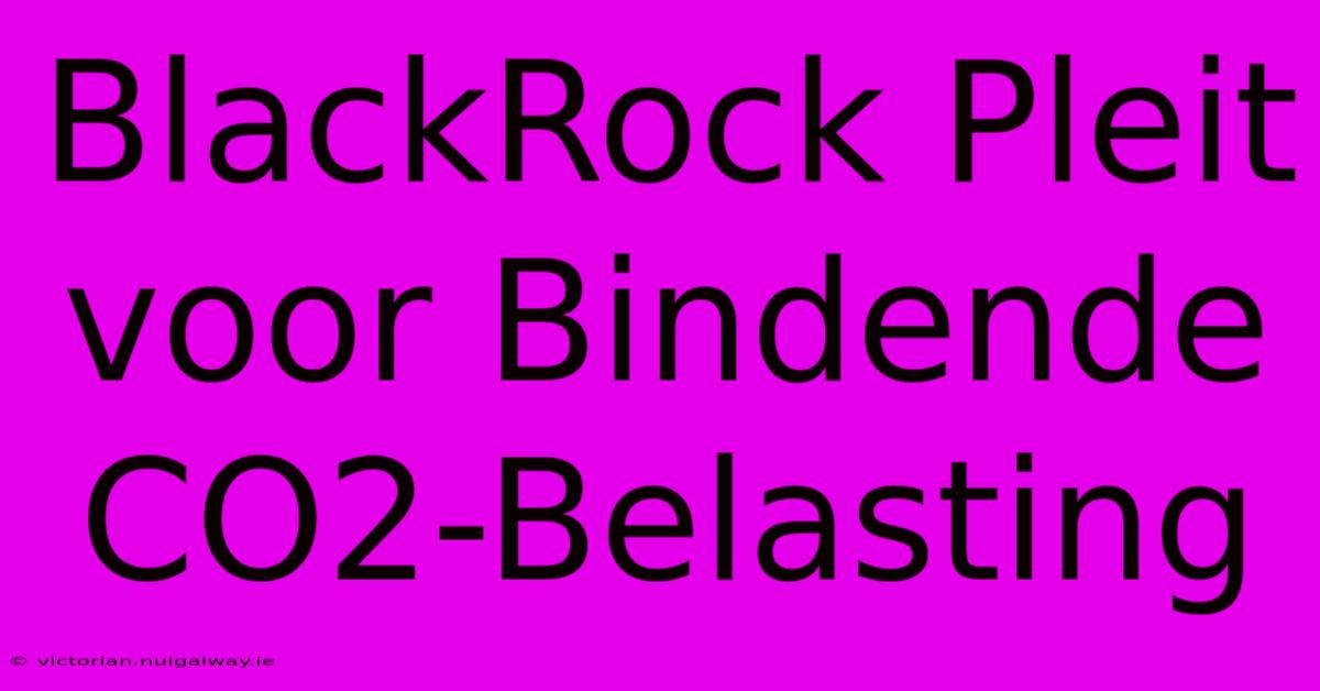 BlackRock Pleit Voor Bindende CO2-Belasting