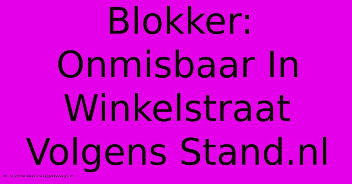 Blokker: Onmisbaar In Winkelstraat Volgens Stand.nl