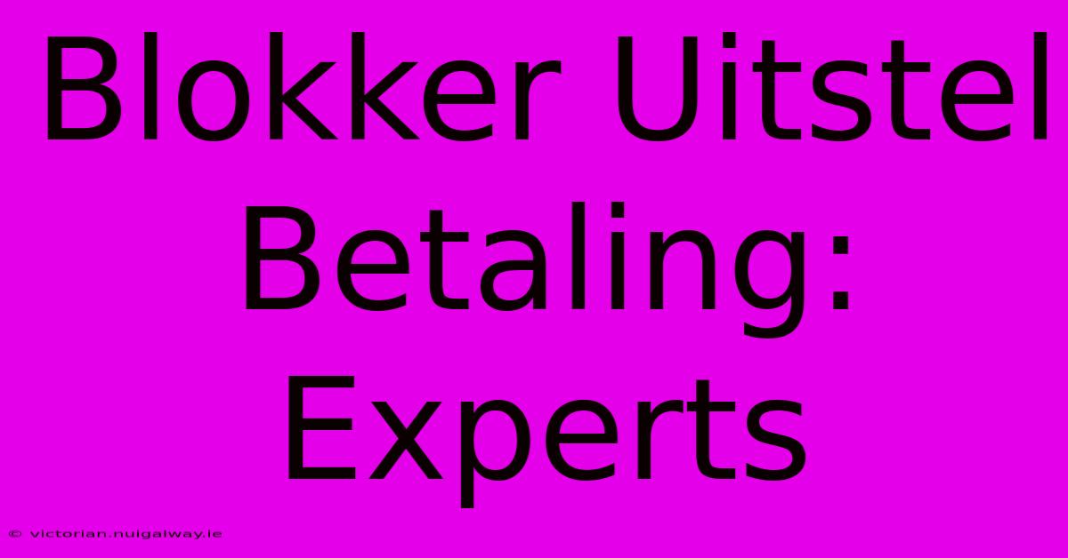 Blokker Uitstel Betaling: Experts