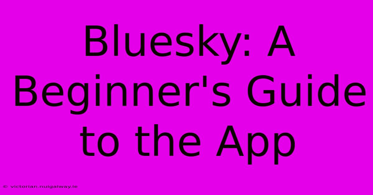 Bluesky: A Beginner's Guide To The App