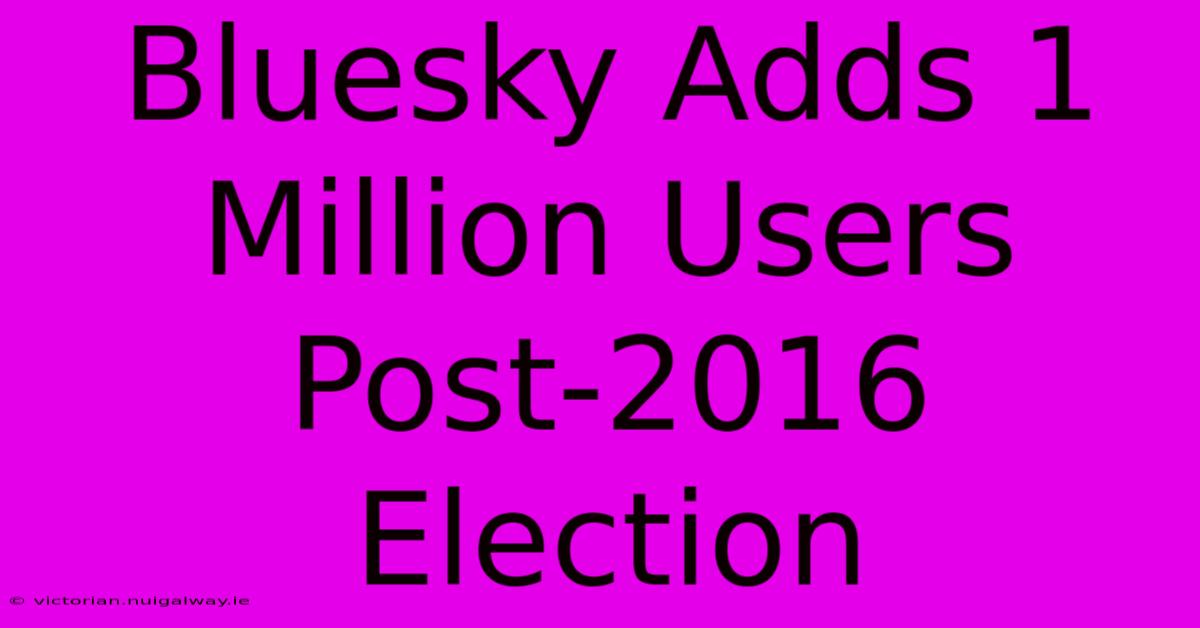 Bluesky Adds 1 Million Users Post-2016 Election