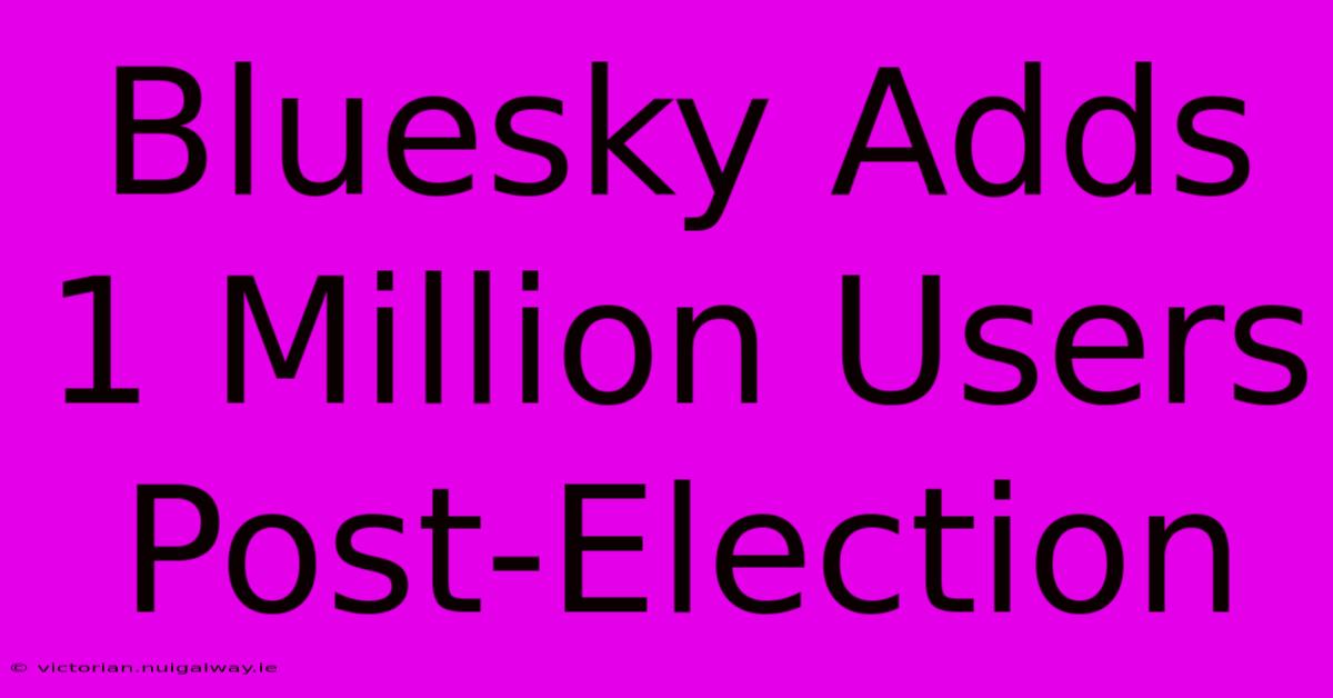 Bluesky Adds 1 Million Users Post-Election