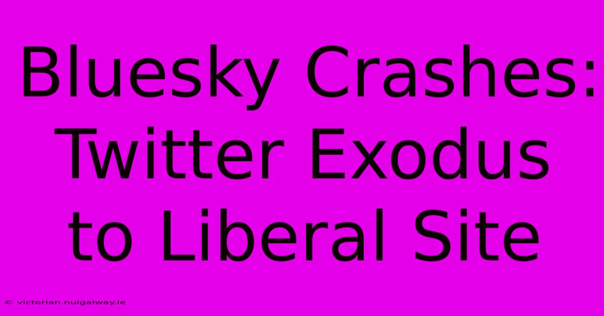 Bluesky Crashes: Twitter Exodus To Liberal Site