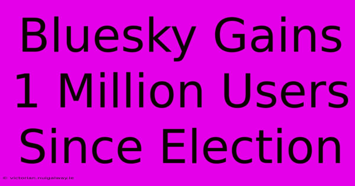 Bluesky Gains 1 Million Users Since Election