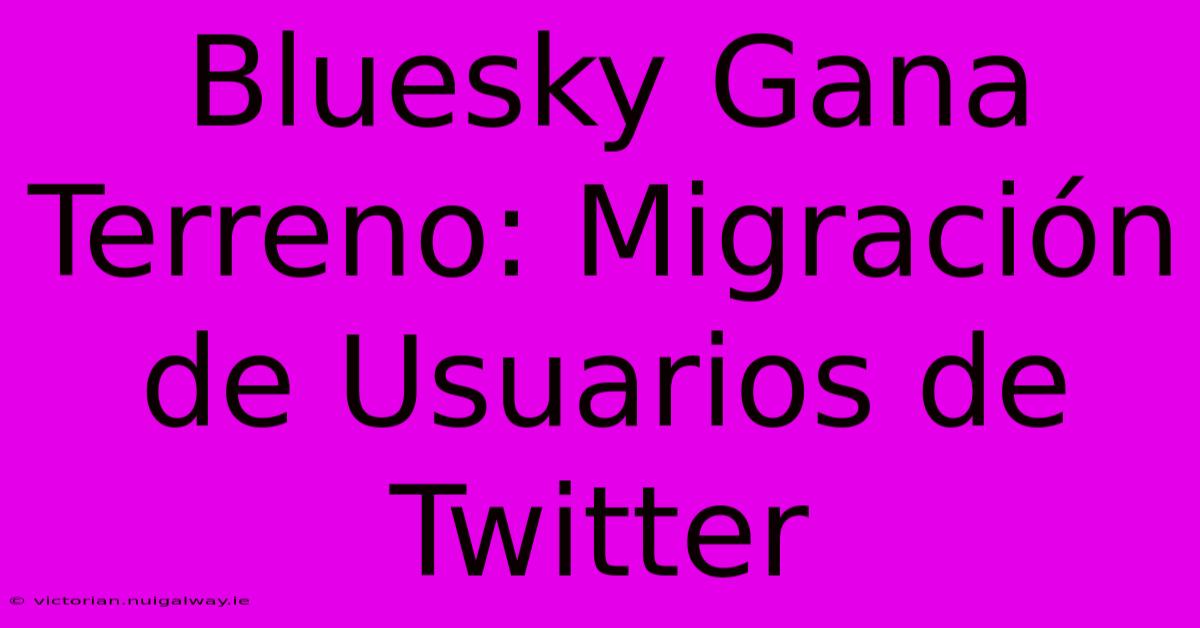 Bluesky Gana Terreno: Migración De Usuarios De Twitter